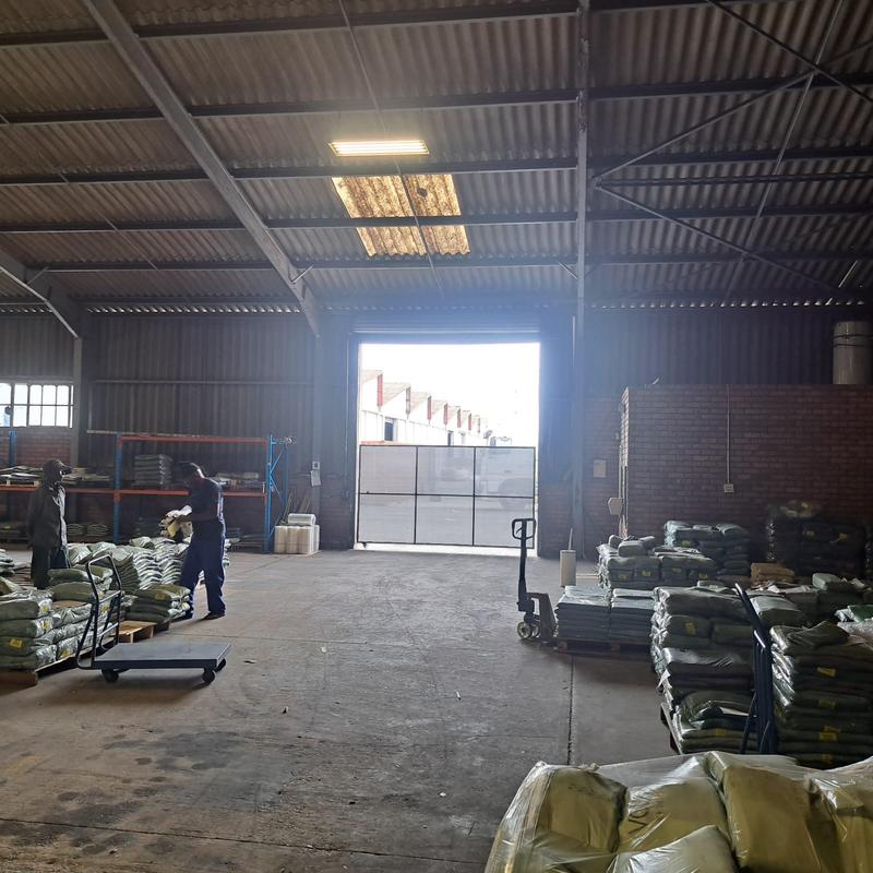 To Let commercial Property for Rent in Deal Party Eastern Cape